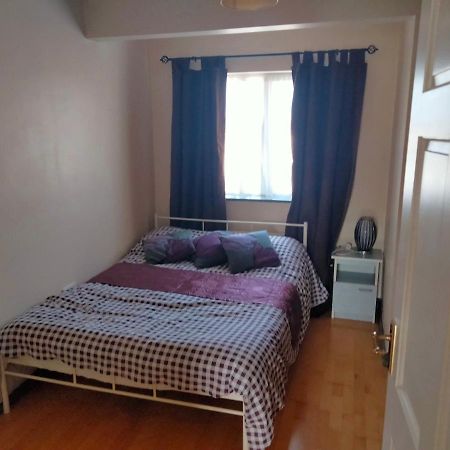 19 Doran Close ドネゴール エクステリア 写真